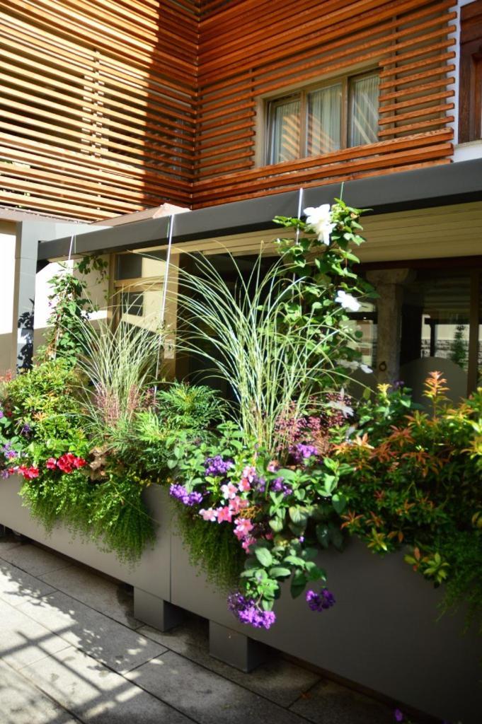 Locanda Blum In Rovetta Exterior foto